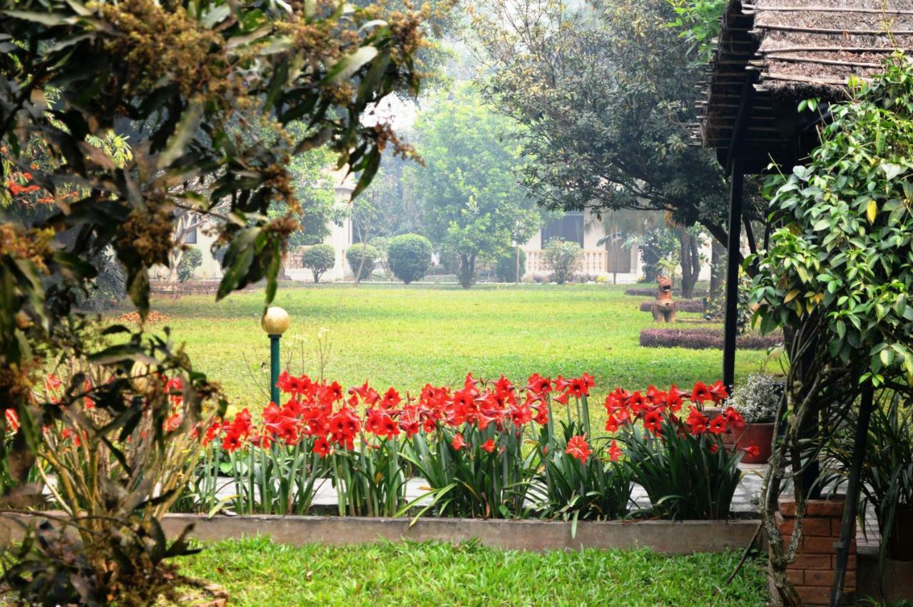 Chitwan Paradise Hotel Sauraha Luaran gambar