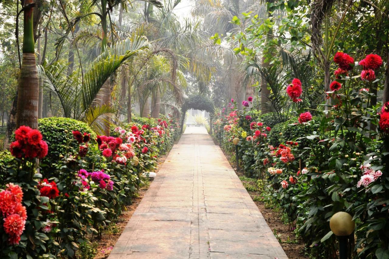 Chitwan Paradise Hotel Sauraha Luaran gambar