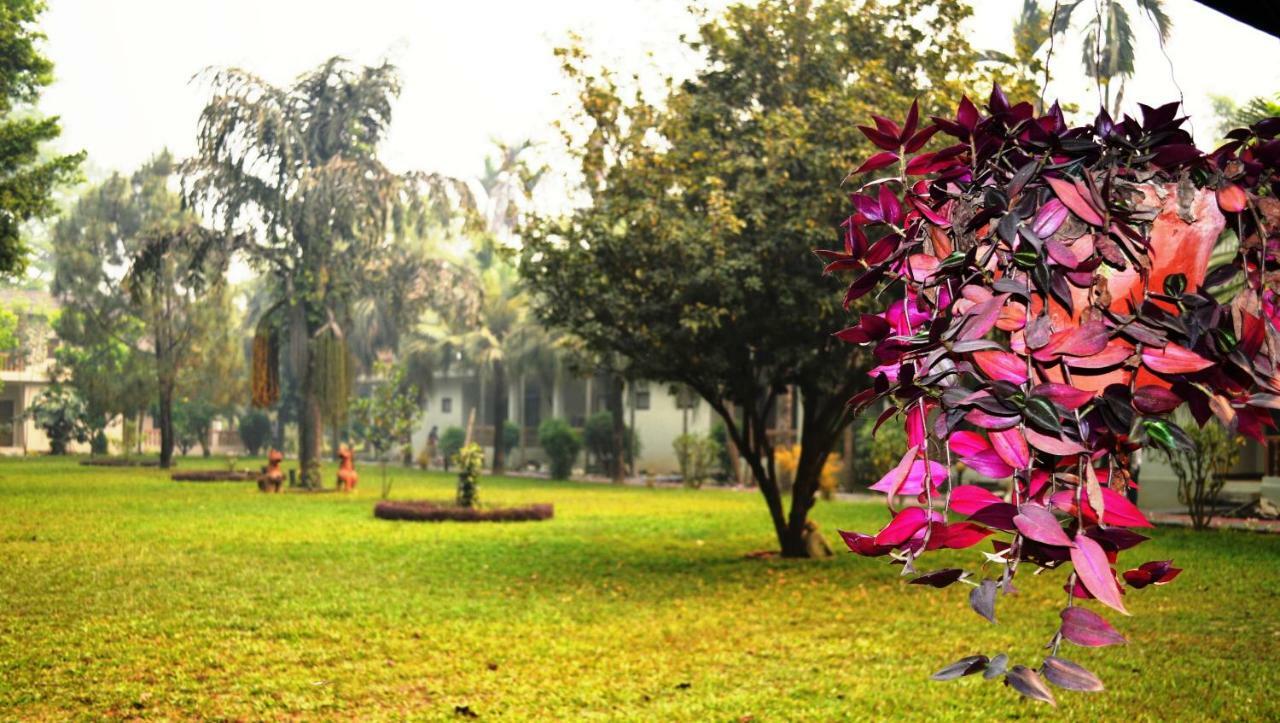 Chitwan Paradise Hotel Sauraha Luaran gambar